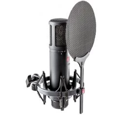 SE Electronics SE2200 Large Diaphragm Condenser Microphone