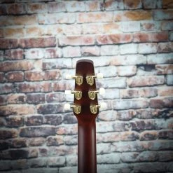 Guitar Seagull Artist Mosaic CH CW Bourbon Burst GT EQ