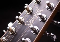 Seagull Coastline 12 QIT Acoustic-Electric Guitar