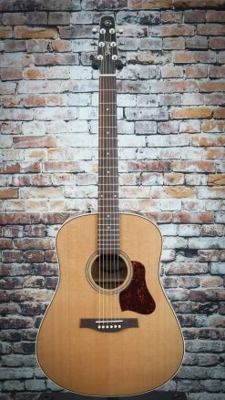 Guitar Seagull Coastline Momentum HG A/E