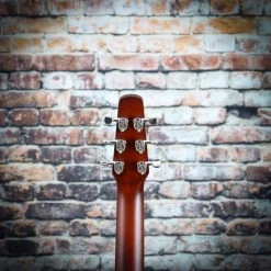 Guitar Seagull Coastline Momentum HG A/E