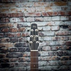 Guitar Seagull Coastline Momentum HG A/E