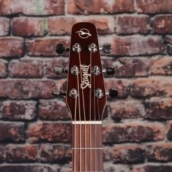 Seagull Entourage Autumn Burst Acoustic Guitar