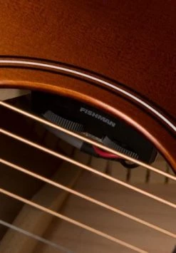 Seagull Entourage Autumn Burst CH CW A/E