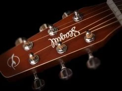 Seagull Entourage Autumn Burst CH CW A/E