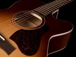 Seagull Entourage Autumn Burst CH CW A/E