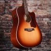 Seagull Entourage Autumn Burst CW QIT Guitar