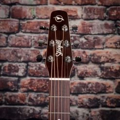 Seagull Entourage Autumn Burst QIT Acoustic Guitar