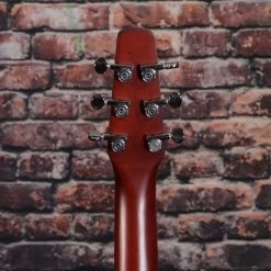 Seagull Entourage Autumn Burst QIT Acoustic Guitar