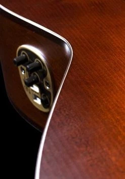 Seagull Entourage Folk Burnt Umber QIT Acoustic Guitar