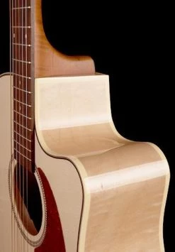 Seagull Performer CW HG QIT Acoustic Guitar