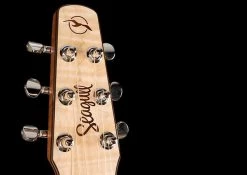 Seagull Performer CW HG QIT Acoustic Guitar