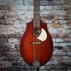 Seagull S8 Mandolin Burnt Umber