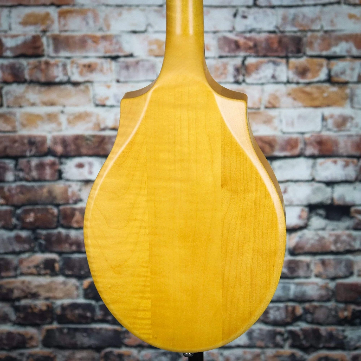 Seagull S8 Mandolin Natural 6 Seagull S8 Mandolin Natural