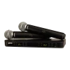 Shure Dual Channel Wireless Handheld Microphone System | BLX288 - SM58