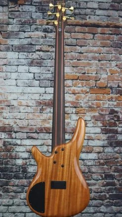 Ibanez SR Premium 5 String Bass Autumn Sunset Sky | SR1605DW Guitar