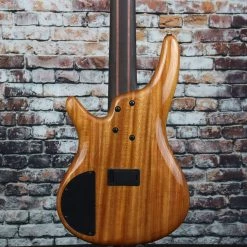 Ibanez SR Premium 5 String Bass Autumn Sunset Sky | SR1605DW Guitar