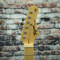 Tagima TG-540 HSS Strat Style Guitar | Surf Green