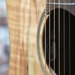 Teton Dreadnought Acoustic Electric Guitar | Spalted Maple