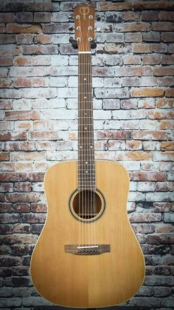 Guitar Teton Standard 105 Cedar Dreadnought