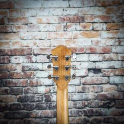 Teton Standard 105 Cedar Dreadnought | Left-Handed