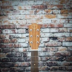 Teton Standard 105 Cedar Dreadnought | Left-Handed