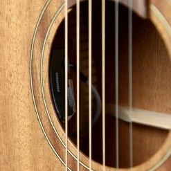 Teton STP103ENT Parlor Acoustic-Electric Guitar
