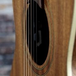 Teton STP103ENT Parlor Acoustic-Electric Guitar