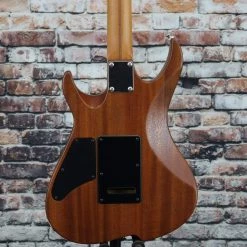 Vola OZ ROA DSE Electric Guitar