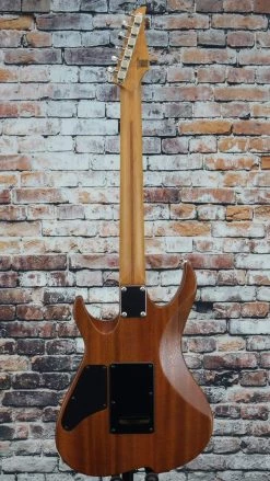 Vola OZ ROA DSE Electric Guitar