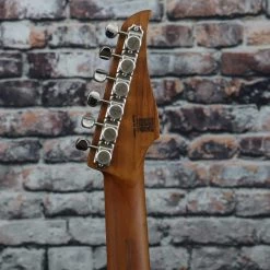 Vola OZ ROA OGD Electric Guitar