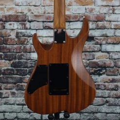 Vola OZ ROA OGD Electric Guitar