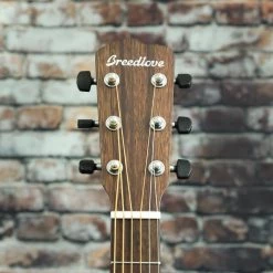 Breedlove Wildwood Concerto Satin CE Mahogany Guitar