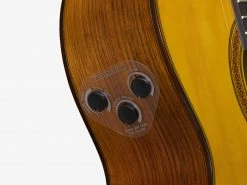 Yamaha TransAcosutic CG-TA Classical Acoustic Guitar